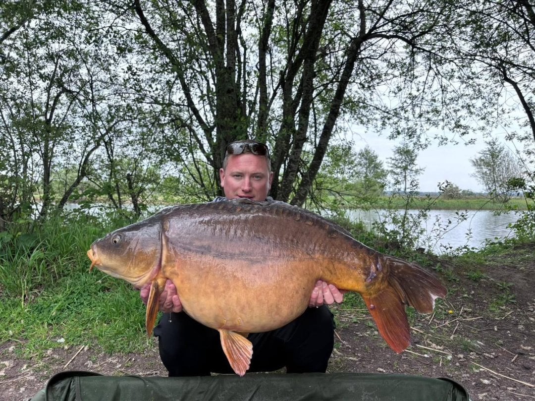 38lb Mirror Carp caught by Daniel Maher