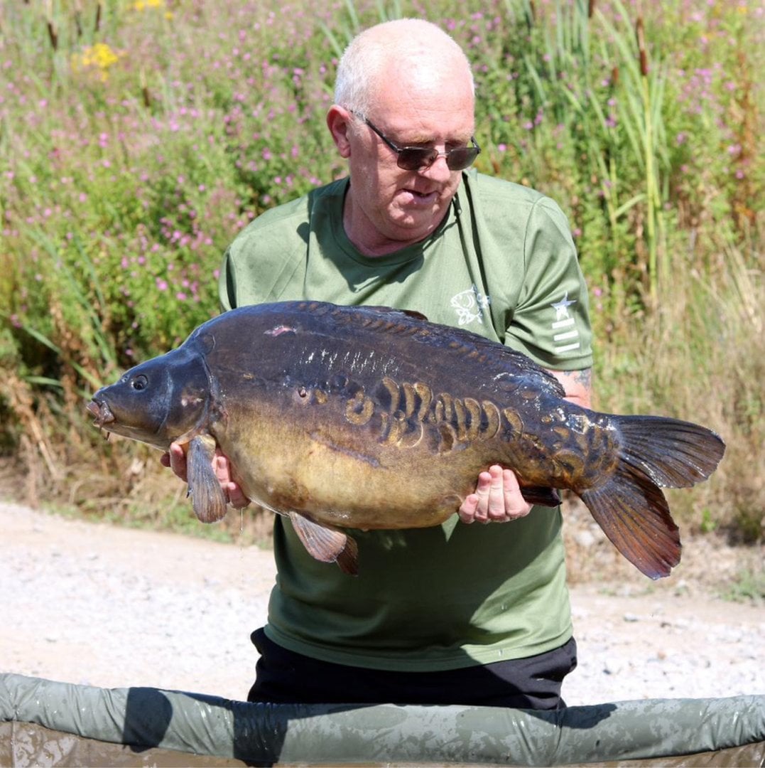 MIRROR Carp · "Jade" · by Tony Banks