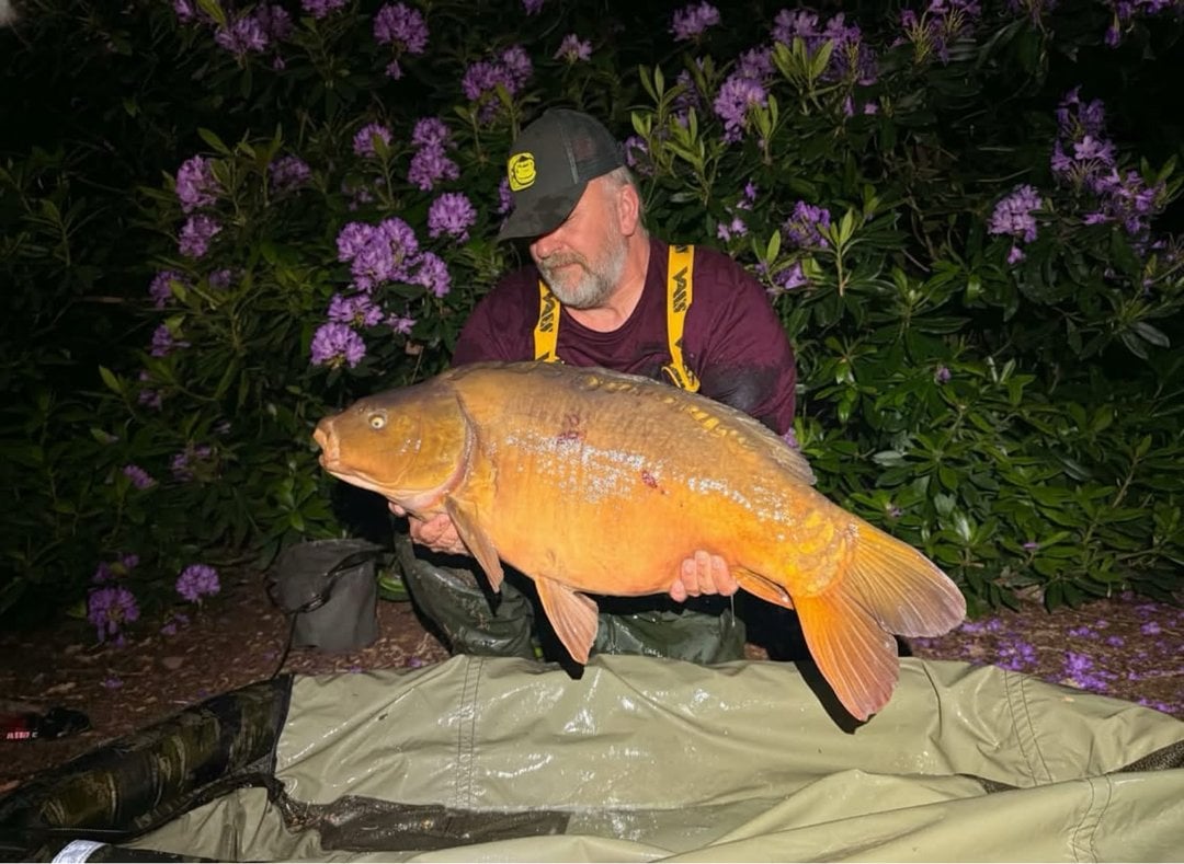 31.10lbs · MIRROR Carp · by Carp Army