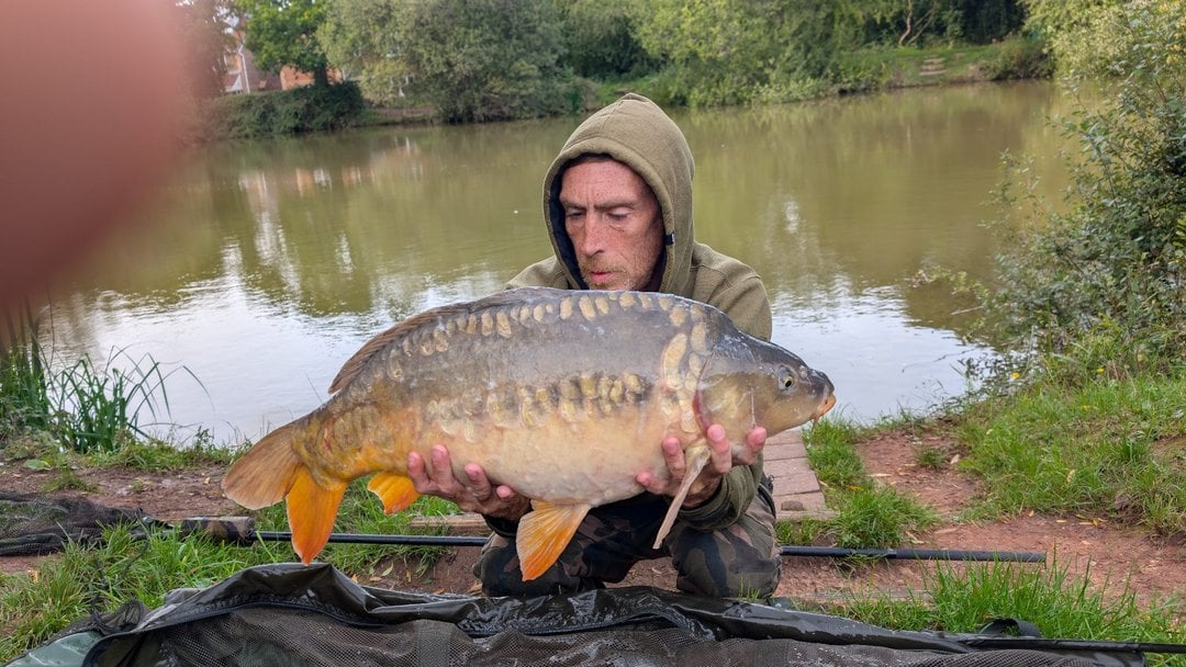 18.00lbs · MIRROR Carp · by Daniel Silvester