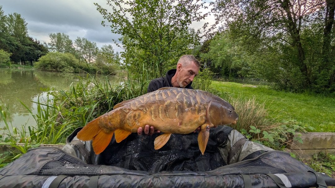 27.20lbs · MIRROR Carp · by Daniel Silvester