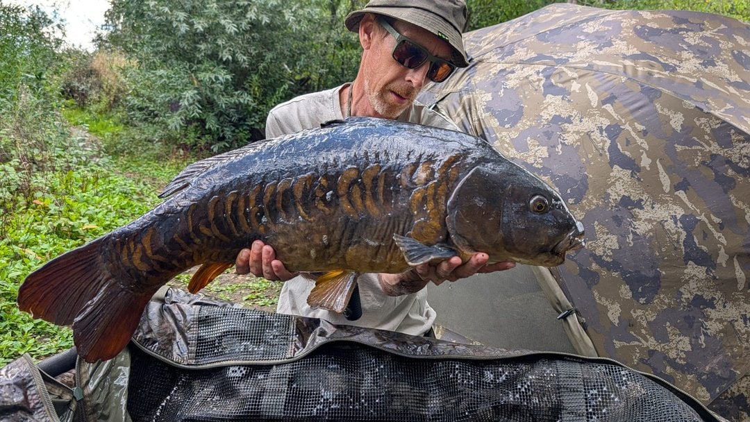 23.00lbs · MIRROR Carp · "The baby armadillo" · by Daniel Silvester