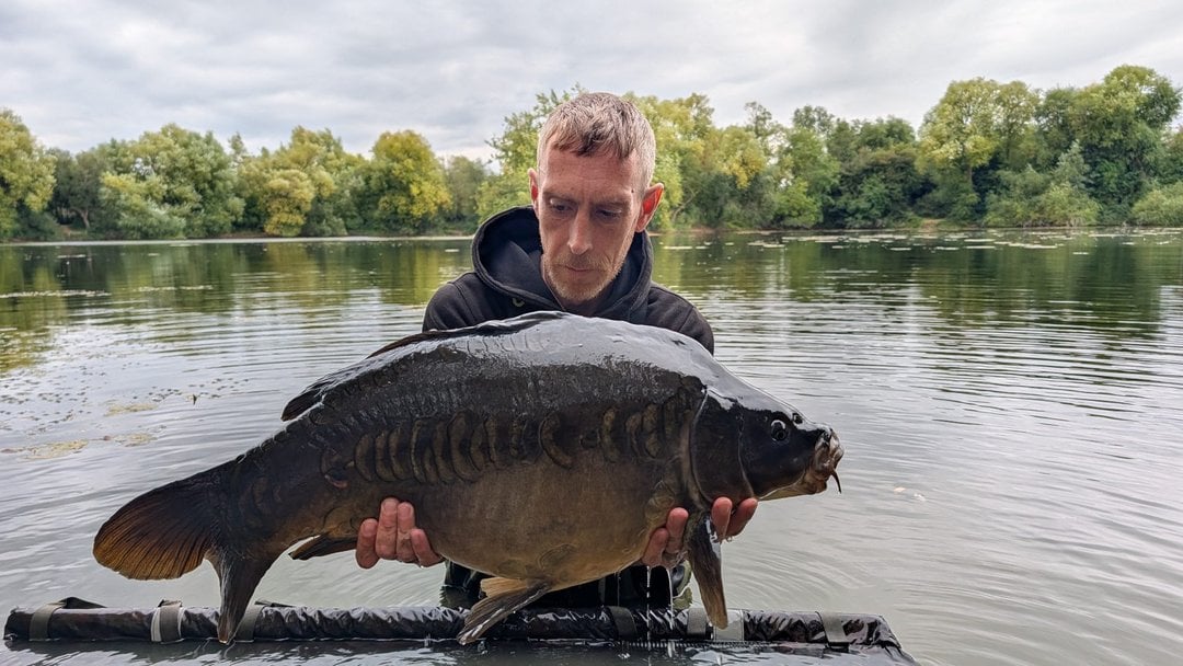 24.12lbs · MIRROR Carp · by Daniel Silvester
