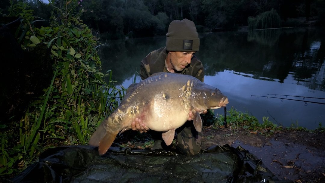 27.10lbs · MIRROR Carp · by Daniel Silvester
