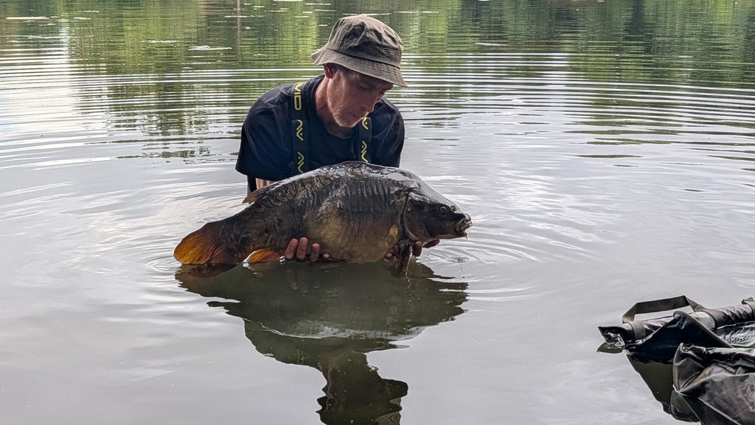 19.20lbs · MIRROR Carp · by Daniel Silvester