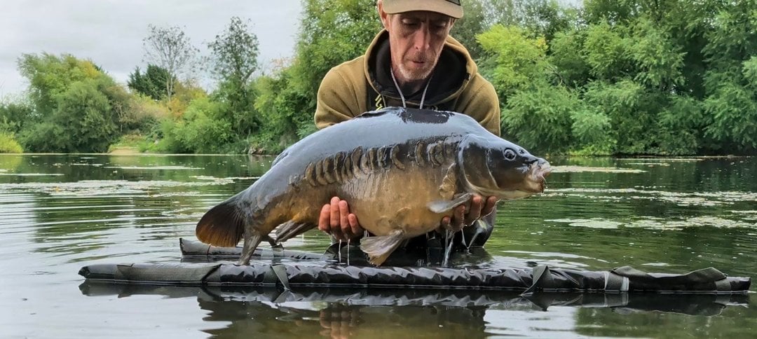 24.00lbs · MIRROR Carp · by Daniel Silvester