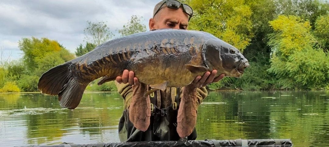 23.00lbs · MIRROR Carp · "The Baby Armadillo" · by Daniel Silvester