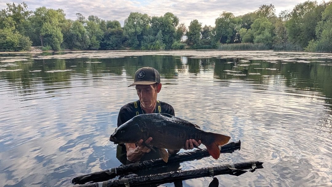 16.00lbs · MIRROR Carp · by Daniel Silvester