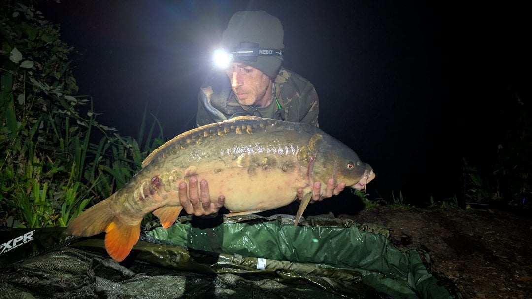 26.00lbs · MIRROR Carp · "The Cream" · by Daniel Silvester