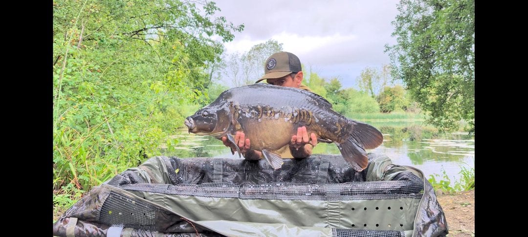23.40lbs · MIRROR Carp · by Daniel Silvester