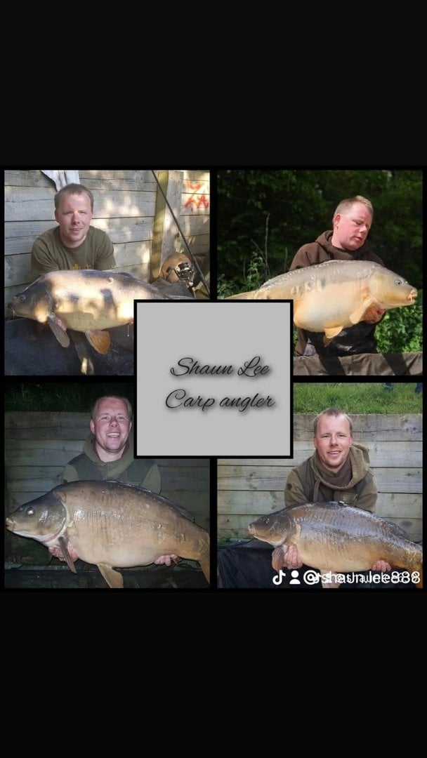 Mirror Carp caught by Shaun Lee