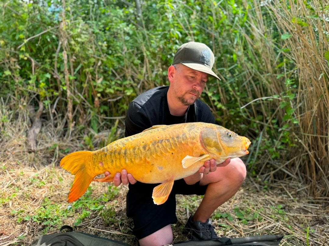 14lb 13oz Mirror Carp caught by Pete Turner