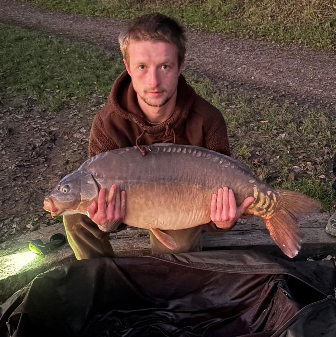 36.00lbs · MIRROR Carp · "Twix" · by Aiden Boon