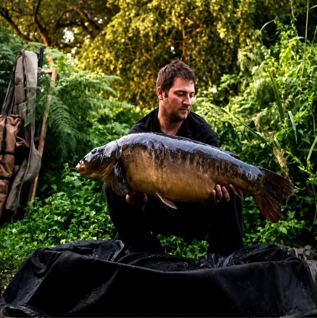39lb Mirror Carp caught by T C