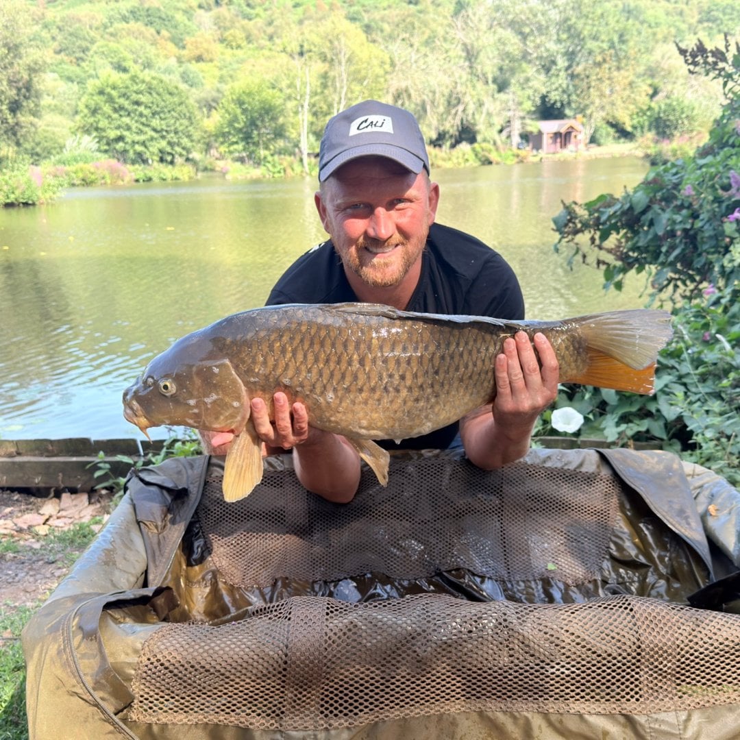 23lb 10oz Common Carp caught by Andrew Mazurczak