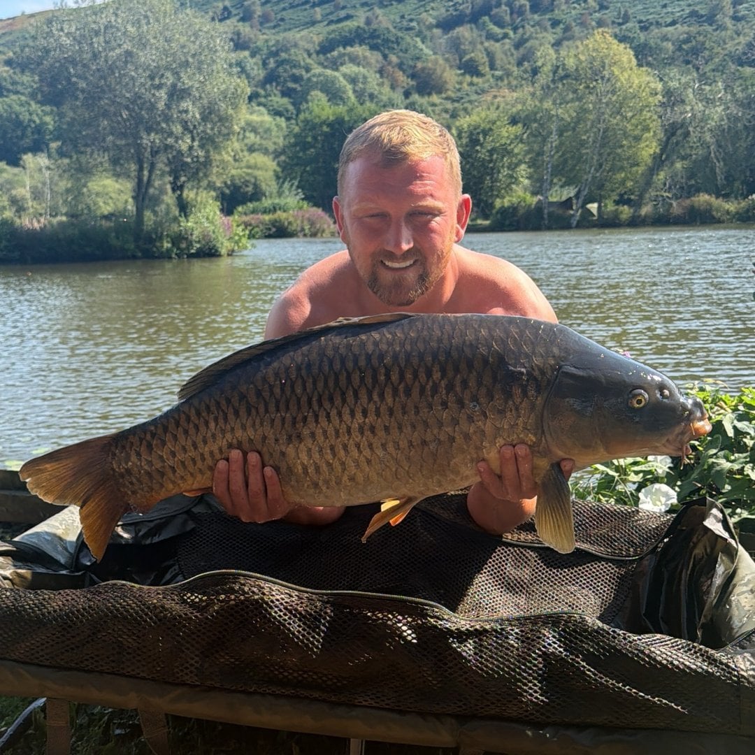 31.10lbs · COMMON Carp · by Andrew Mazurczak